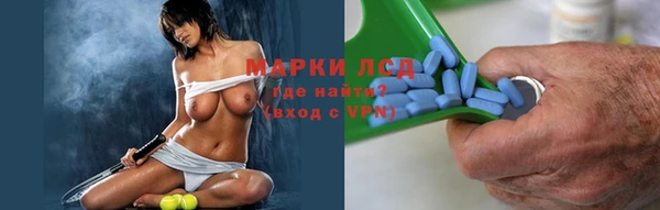 ГАЛЛЮЦИНОГЕННЫЕ ГРИБЫ Алзамай