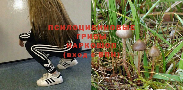 каннабис Алексин