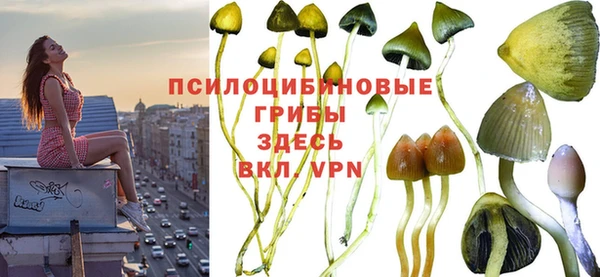 каннабис Алексин