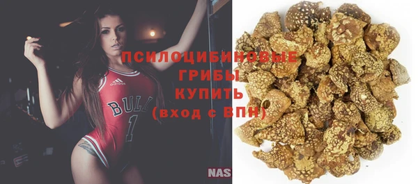 ГАЛЛЮЦИНОГЕННЫЕ ГРИБЫ Алзамай