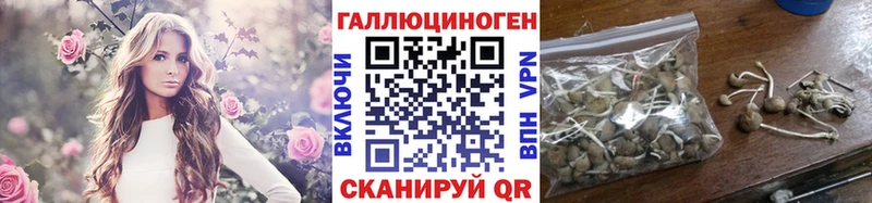 Галлюциногенные грибы мухоморы  дарнет шоп  Пугачёв 
