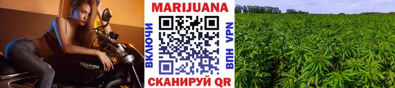 Бошки марихуана SATIVA & INDICA  hydra как войти  Пугачёв 